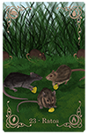 Ratos no Baralho da Andara