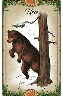 Baralho Cigano Carta do Urso - Oráculo interativo gratuito